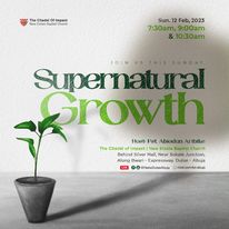 Read more about the article Supernatural Growth