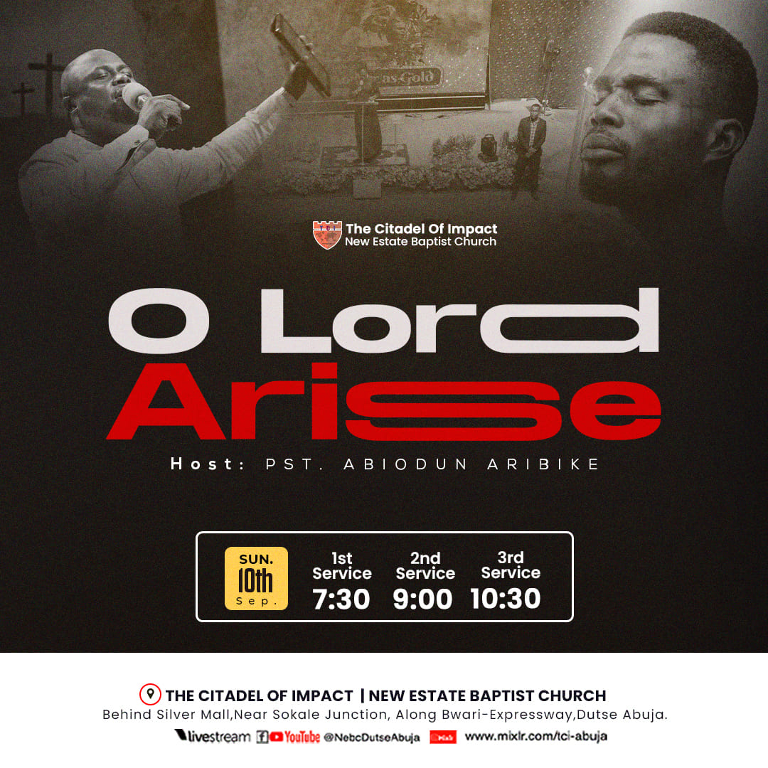 Read more about the article O Lord Arise