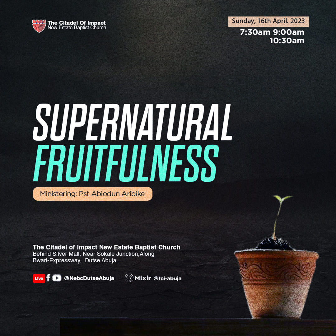 Read more about the article Supernatural Fruitfulness