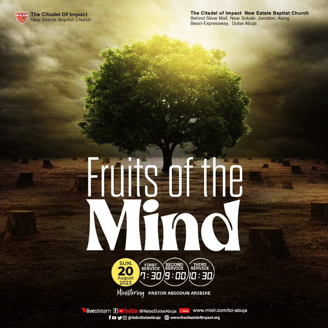 Read more about the article Fruit of the Mind