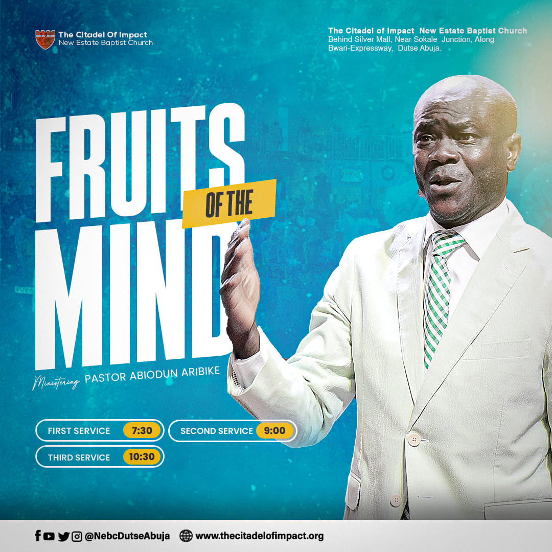 Read more about the article Fruit of the Mind