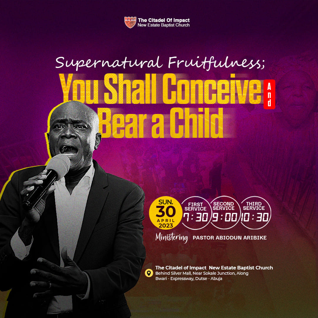 Read more about the article Supernatural Fruitfulness – You shall Conceive and Bear a Child