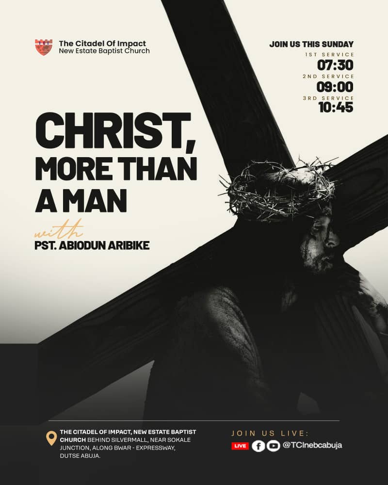 Read more about the article Christ, More than a Man