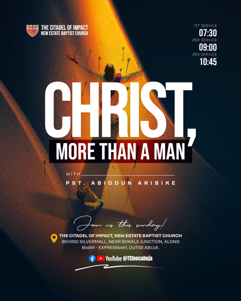 Read more about the article Christ, More than a Man
