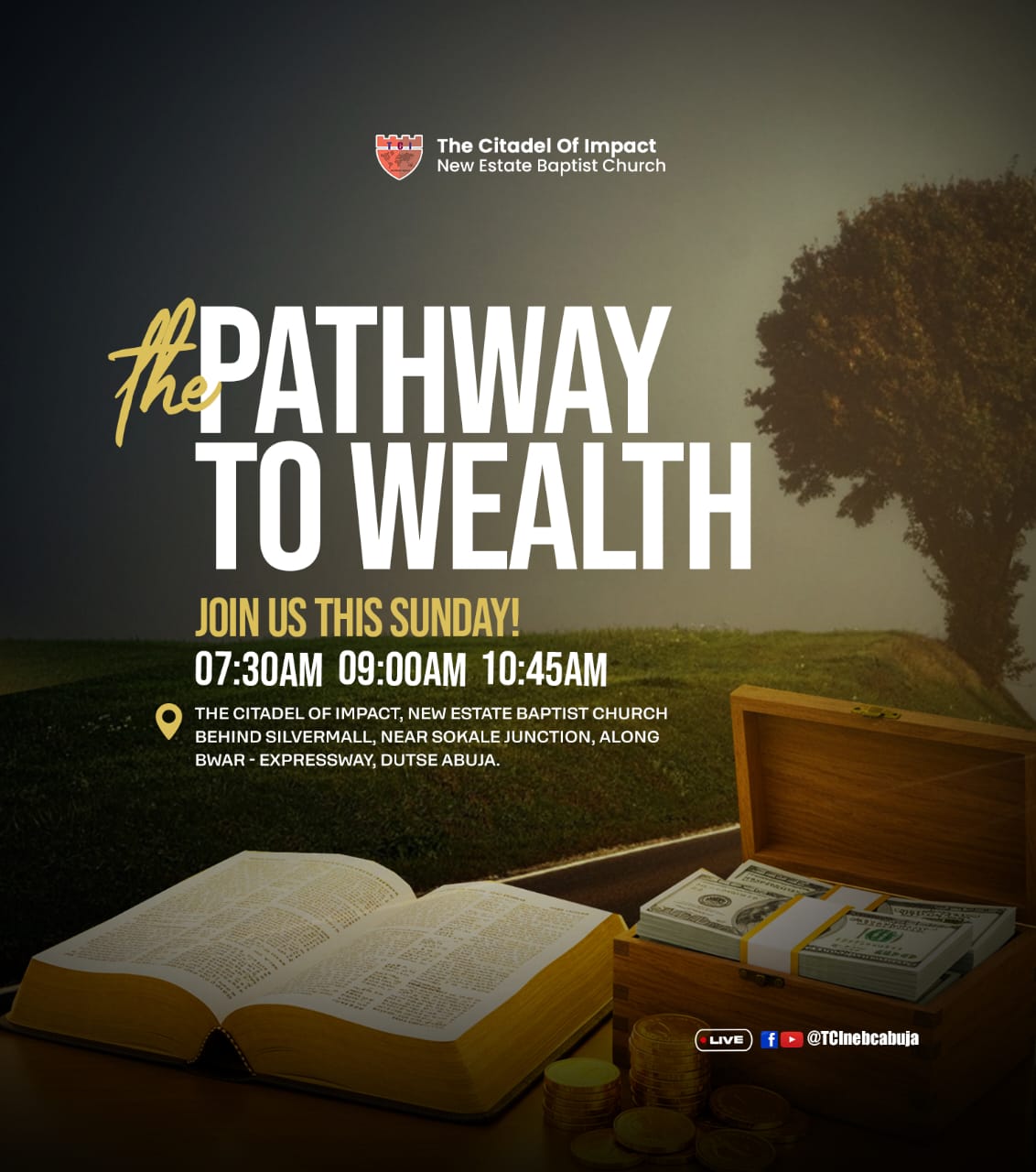 Read more about the article Pathway to Wealth