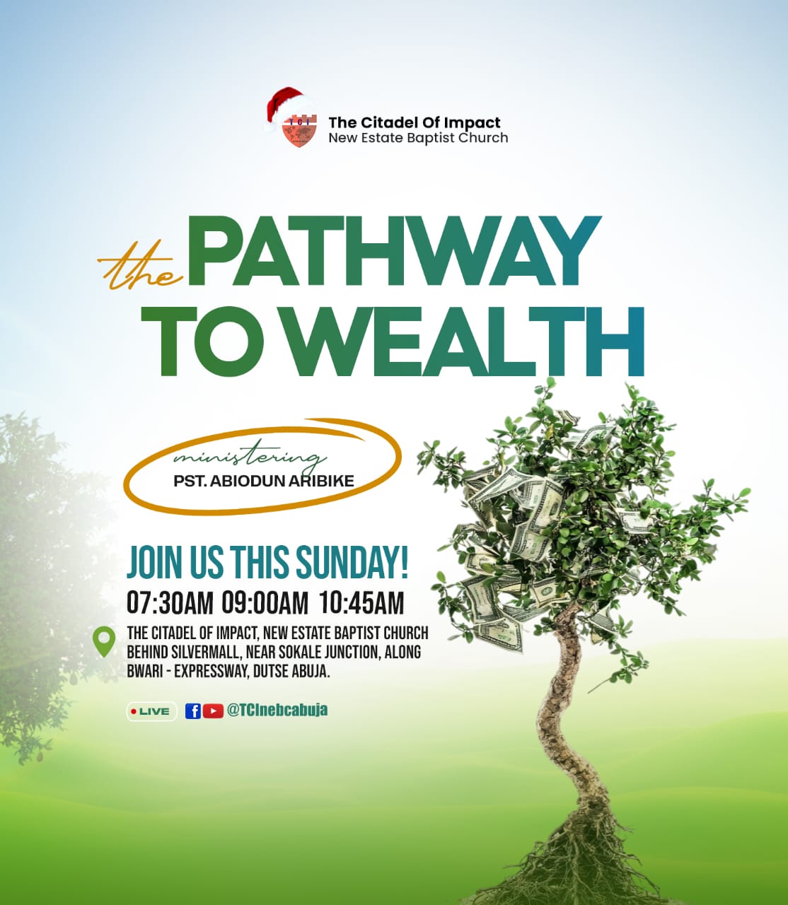 Read more about the article Pathway to Wealth – Goals