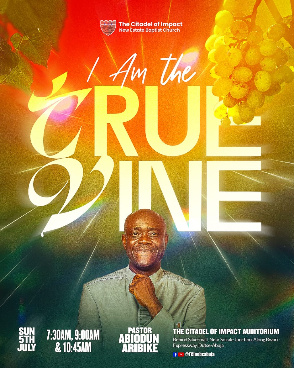 Read more about the article I AM the True Vine