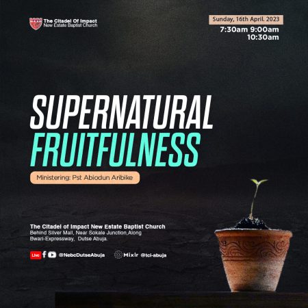 Supernatural Fruitfulness